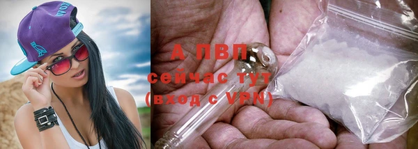 СК Беломорск