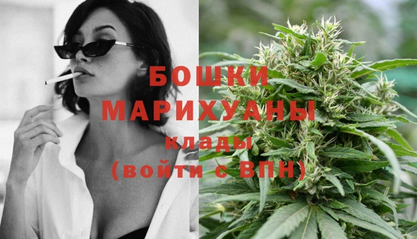 дмт Белокуриха