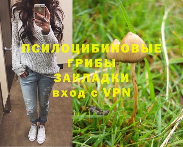 дмт Белокуриха