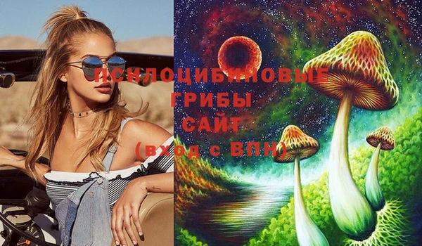 СК Беломорск