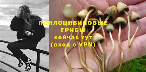 Альфа ПВП Саяногорск