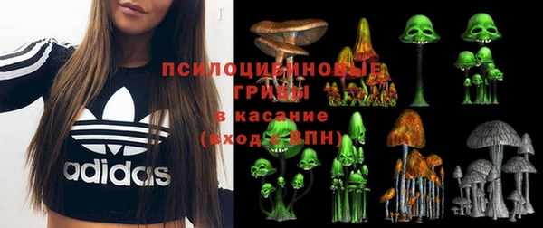 дмт Белокуриха