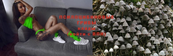 дмт Белокуриха